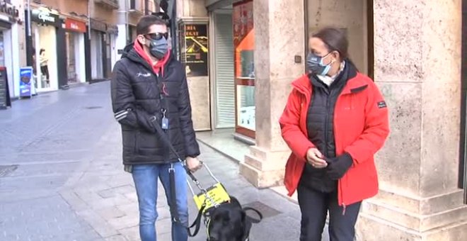 Xabat, el primer perro que guía a una persona ciega y sin manos