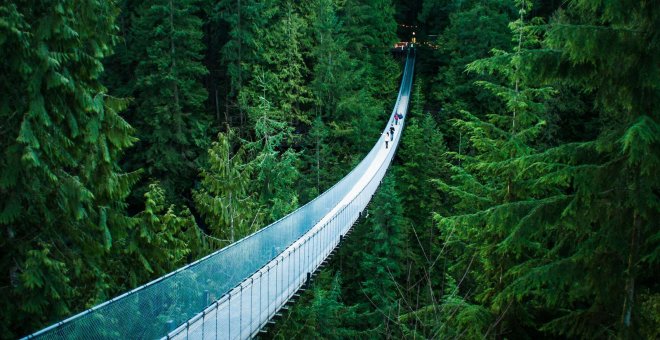 ¿Te atreverías a cruzar estos puentes?