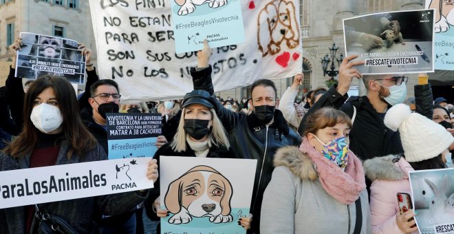 Animalistas protestan en Barcelona por la experimentación de un fármaco con perros