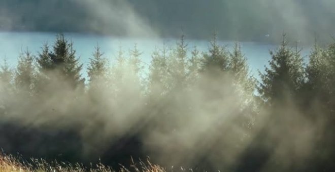 Millonarios comprometidos con el medio ambiente compran terreno verde en Escocia para protegerlo