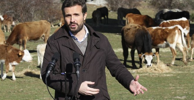 Dominio Público - Balidos, mugidos y queso, la surrealista campaña de Casado