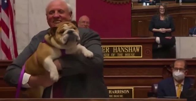 Un gobernador de EEUU pide a sus rivales políticos que "besen el culo" de su bulldog inglés