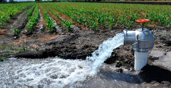 Ocho años robando millones de metros cúbicos de agua de un acuífero sobreexplotado para regar sus viñas