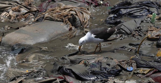 El desastre ecológico del vertido de petróleo se esconde ya debajo del mar peruano