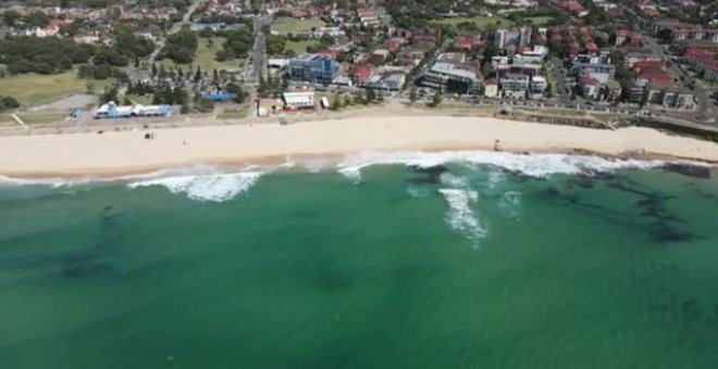 Cierran varias playas de Sidney tras el primer ataque fatal de un tiburón en 60 años