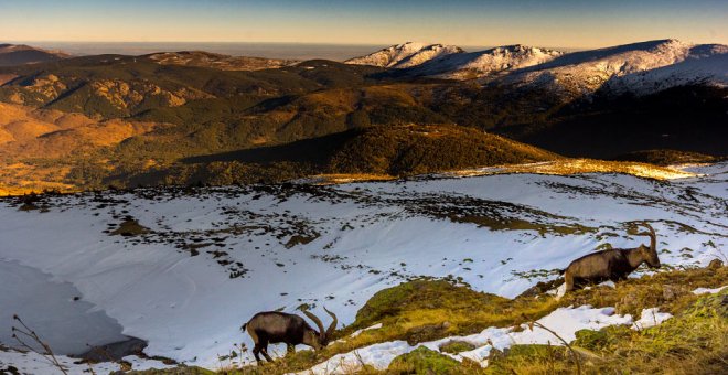 La guía geológica definitiva y gratuita del Parque Nacional de Guadarrama