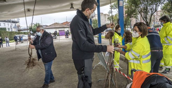 Camargo amplía el plazo para optar a los árboles de la campaña de repoblación