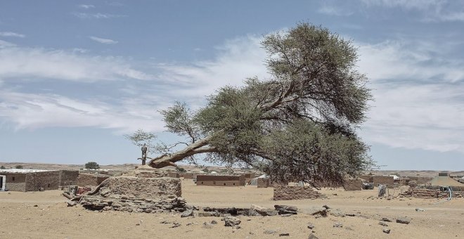 Un retrato de países árabes más allá de banderas, conflictos y tópicos