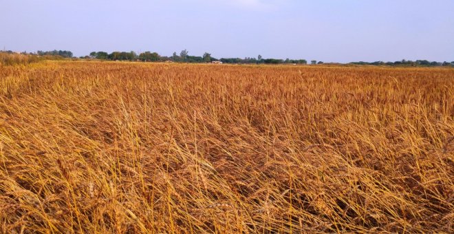 Energía aún más cara, cereales por las nubes y otro cortocircuito turístico: así golpea la guerra a la economía española