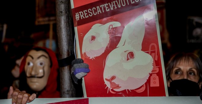 PACMA critica que la Universidad de Barcelona no suspenda el experimento con cachorros de beagle