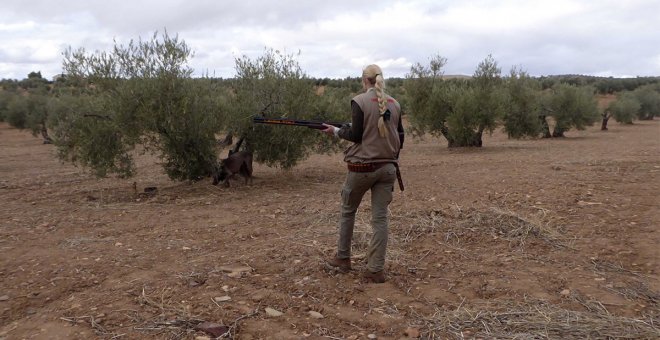 Los animalistas y el lobby cinegético critican a partes iguales el nuevo reglamento de caza de Castilla-La Mancha