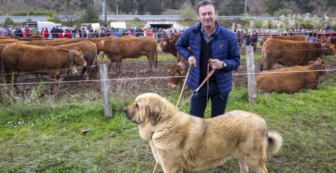 Más de 400 animales y 35 ganaderías participan en la feria 'El Ángel' de Vargas
