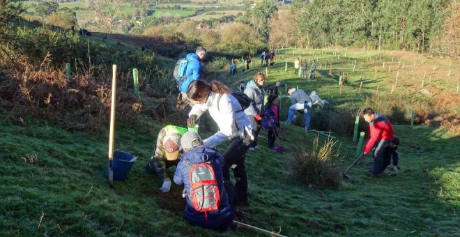 Colindres celebra el Día del Árbol con plantaciones para crear un 'corredor ecológico'