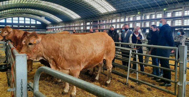 El Mercado de Ganados abre sin entrada de animales por el paro del transporte