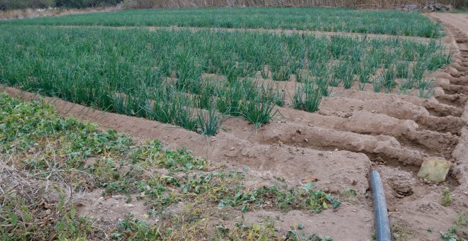 L'agricultura i la ramaderia ecològiques poden sortir reforçades de la crisi energètica?