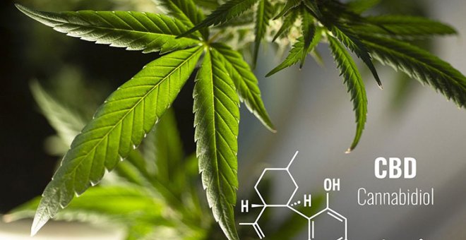 Ya es oficial: el CBD es legal en productos cosméticos en Europa