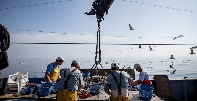 Upcycling the Oceans: 'Pescando' basura marina