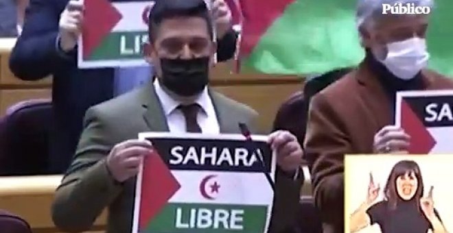 Carles Mulet (Compromís) en la sesión de control al Gobierno en el Senado: "Hoy, mañana y siempre, a pesar del PSOE, Sáhara libre"