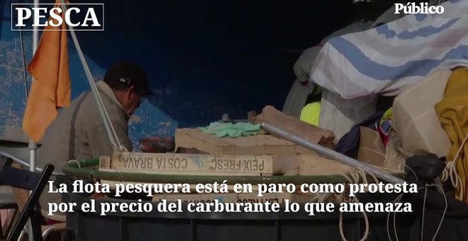 Los paros del transporte y la subida de los precios de la energía, combinación letal que lastran sectores como la ganadería, la construcción o la industria del automóvil