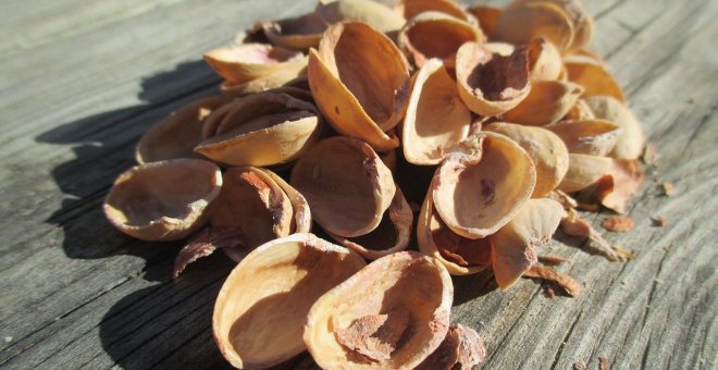 6 ideas para reciclar las cáscaras de pistacho