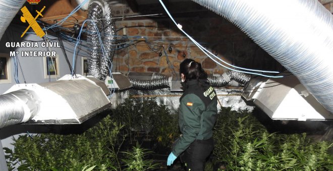 Desmantelan plantaciones de marihuana en Soba y Alceda y termina con detenciones