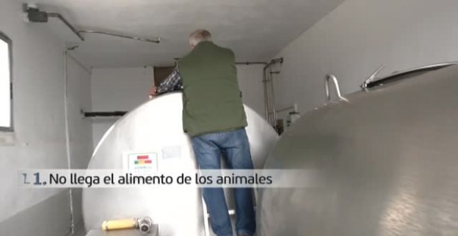 Los ganaderos españoles: ni pueden alimentar a sus animales, ni vender el producto, ni pagar las facturas.