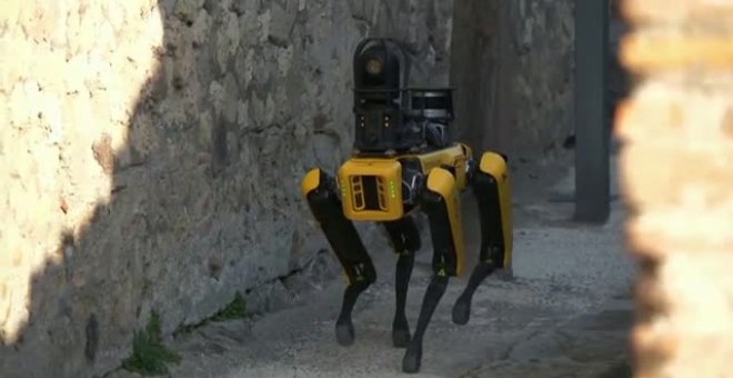 Un perro robot vigilará el conjunto histórico de Pompeya