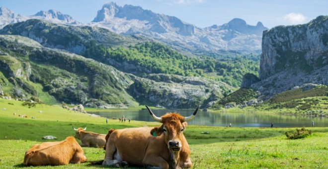 IU pide superar la compartimentación y los "reinos de taifas" en el Parque Nacional de Picos de Europa