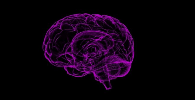 Cómo se desarrolla y madura el cerebro humano desde la concepción hasta la muerte