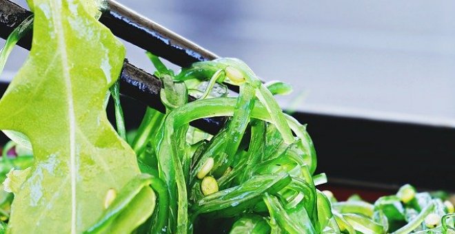 Pato confinado - Receta de ensalada de algas wakame