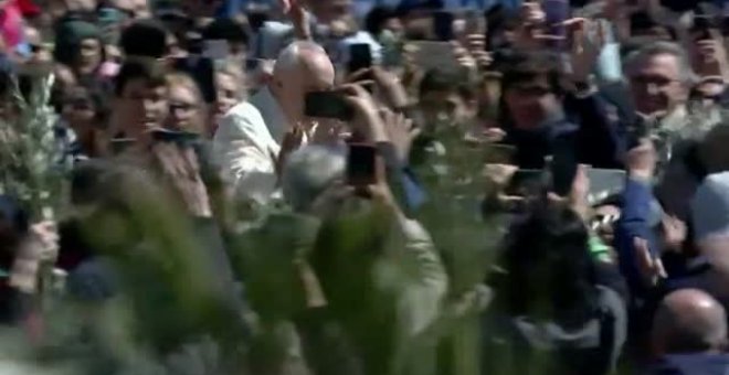 El papa pide una tregua de Semana Santa en Ucrania durante la misa del Domingo de Ramos