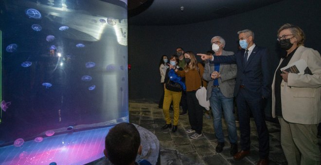 El Museo Marítimo estrena un laboratorio de cría de medusas abierto al público