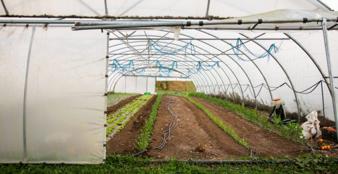 El Gobiernu destina 10 millones al programa de desendolcu rural n'Asturies