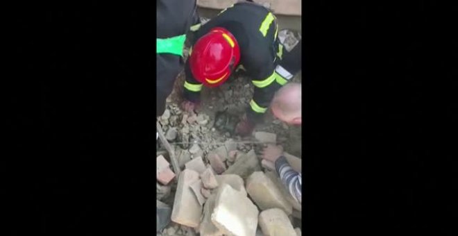 Rescatan un cachorro bajo los escombros de una vivienda en Ucrania