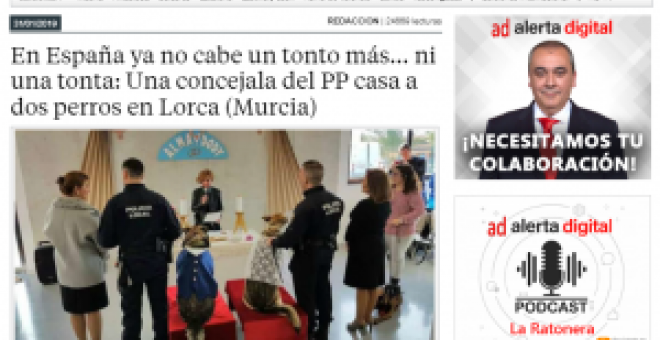 Bulocracia - En España sí caben más tontos