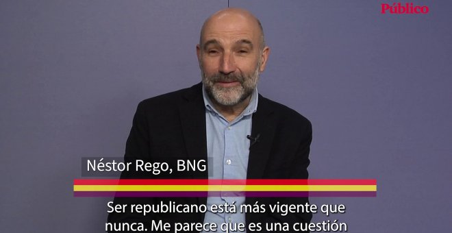 Néstor Rego: "Una Jefatura del Estado establecida por la gracia de Dios y de Franco es incompatible con un sistema democrático"