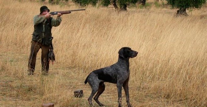 Cantabria vulnera la Ley de Infancia con sus licencias de caza gratuitas para menores