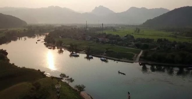 Vietnam ha perdido cerca de 3 millones de hectáreas de cubierta arbórea en 20 años por la tala ilegal y la creciente demanda humana