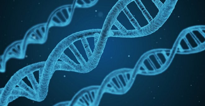 El análisis del genoma de una niña con lupus revela que una mutación genética es la causa de la enfermedad