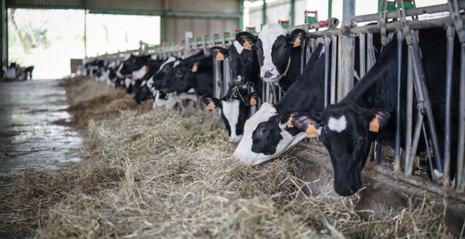 La temporalidad en el campo cae un 6% y el desempleo se reduce más de un 17% en el último año