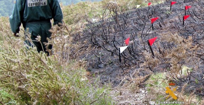 Investigan a un vecino de Entrambasaguas por un fuego forestal en Alisas con 117 focos