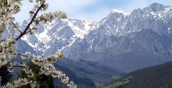 Los Picos de Europa, paisaje protagonista de los botes de Nutella