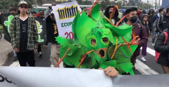 Piden la legalización total de la marihuana en Ecuador: "No más presos por plantar, no más presos por fumar"