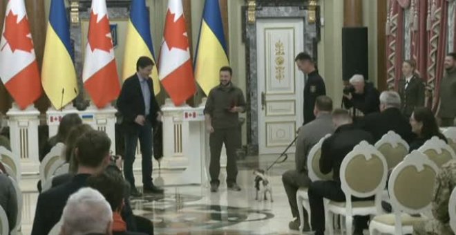 'Patrol', orgullo canino de Ucrania
