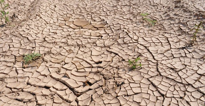 Las sequías aumentan un 29% este siglo​
