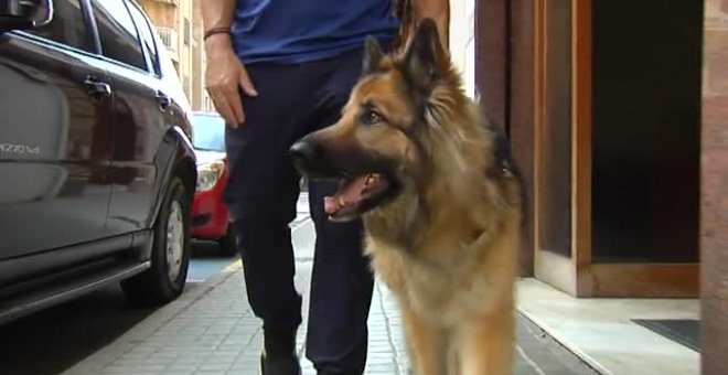 Impiden a un perro guía subir a un taxi