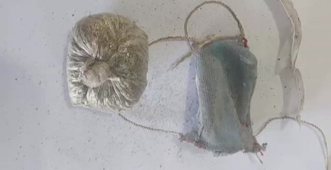 Interceptan en una prisión de Perú a una paloma mensajera que portaba 300 gramos de marihuana