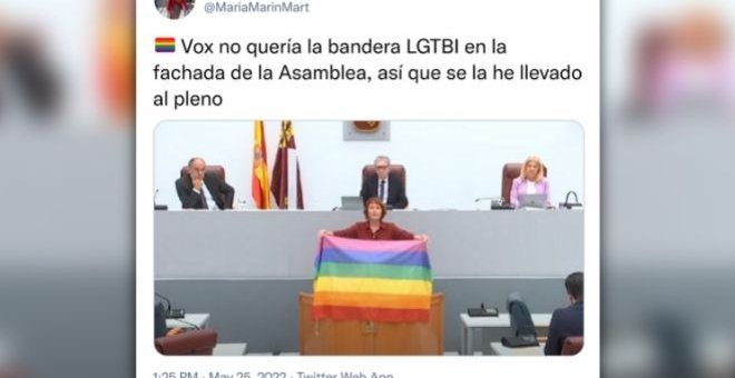 La lección de una diputada de Podemos a Vox tras intentar vetar la bandera LGTBI: "No la querían en la fachada, así que se la he llevado al pleno"