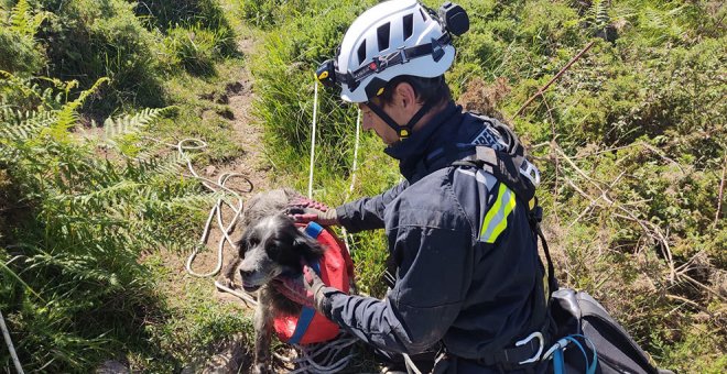 Rescatan a un perro que cayó por una sima de 10 metros en el Monte Dobra