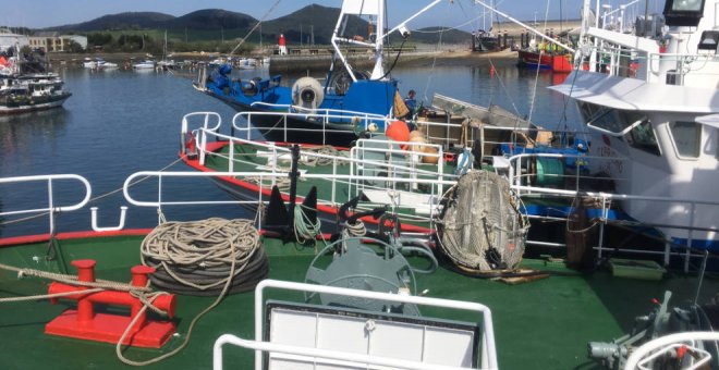 Un barco con base en Santoña abre la costera del bonito a 369 euros el kilo